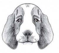 /album/blog-de-dessins-par-manon/imagescat8zepl-jpg1/